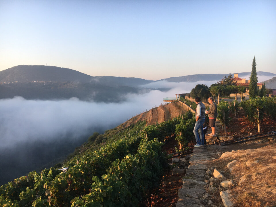 1-FINCA_Y_TERRAZA