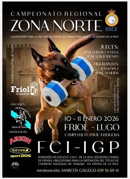 Campeonato Regional Zona Norte